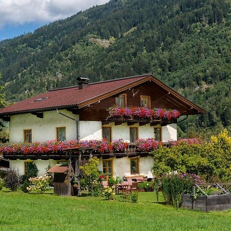 Haus Knapp Nette 4Er Fewo Lejlighed Dorfgastein Eksteriør billede