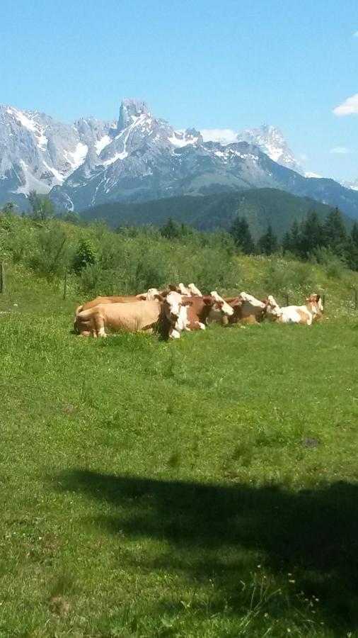 Haus Knapp Nette 4Er Fewo Lejlighed Dorfgastein Værelse billede